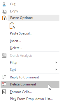 Delete Comment Delete Comment