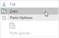 Click on Copy Click on Copy