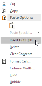 Insert Cut Cells Insert Cut Cells